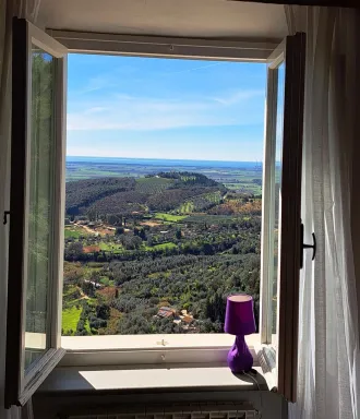 La Viola Sognatrice
